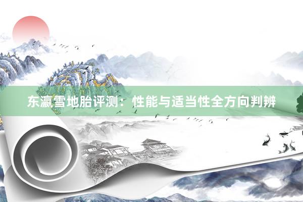 东瀛雪地胎评测：性能与适当性全方向判辨